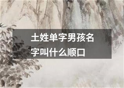 土姓单字男孩名字叫什么顺口