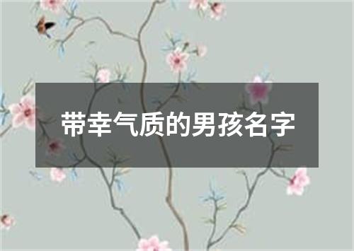 带幸气质的男孩名字