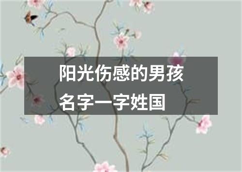 阳光伤感的男孩名字一字姓国