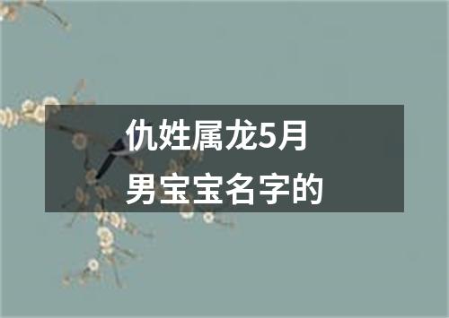 仇姓属龙5月男宝宝名字的