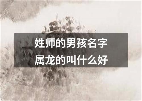 姓师的男孩名字属龙的叫什么好