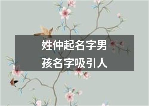 姓仲起名字男孩名字吸引人