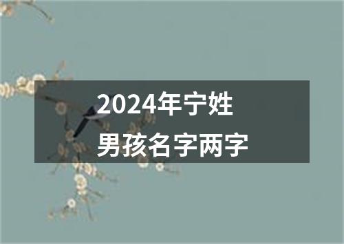 2024年宁姓男孩名字两字