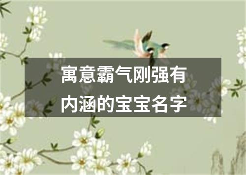 寓意霸气刚强有内涵的宝宝名字