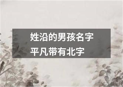 姓沿的男孩名字平凡带有北字