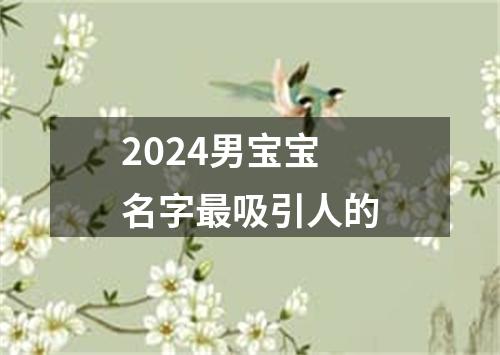 2024男宝宝名字最吸引人的