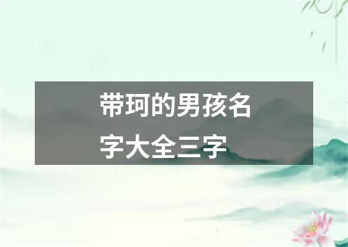 带珂的男孩名字大全三字