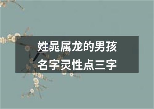 姓晁属龙的男孩名字灵性点三字