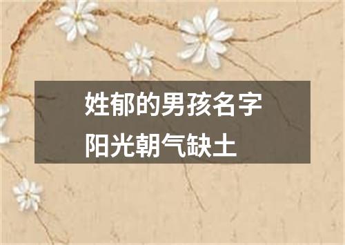 姓郁的男孩名字阳光朝气缺土