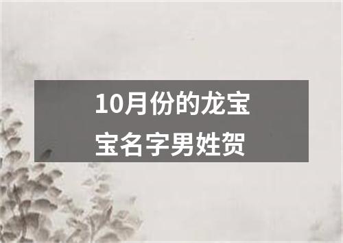 10月份的龙宝宝名字男姓贺