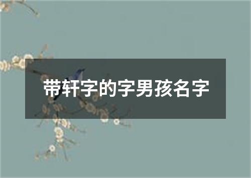 带轩字的字男孩名字