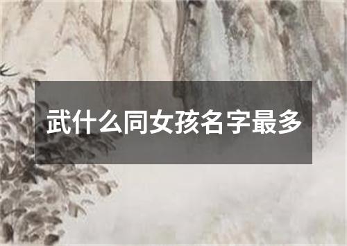 武什么同女孩名字最多
