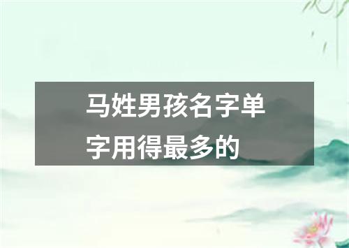 马姓男孩名字单字用得最多的