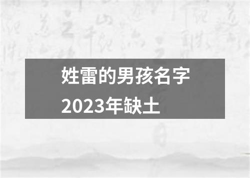 姓雷的男孩名字2023年缺土
