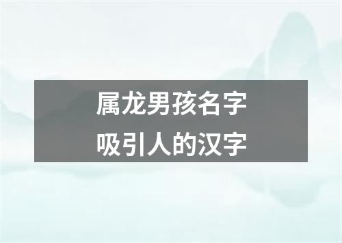 属龙男孩名字吸引人的汉字