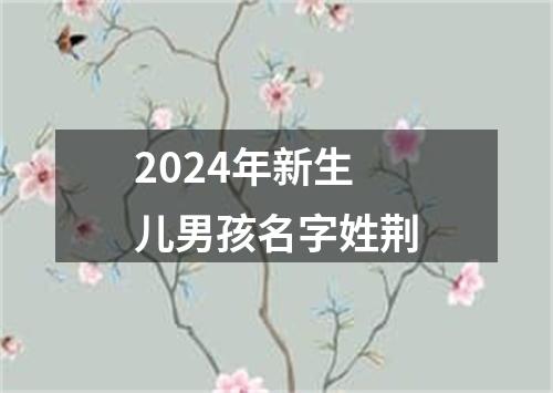 2024年新生儿男孩名字姓荆
