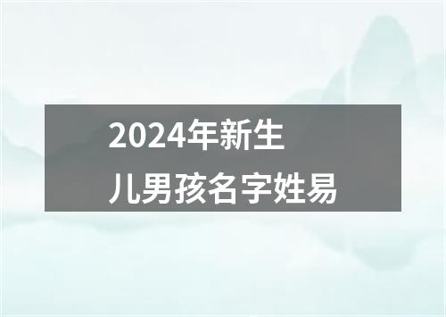 2024年新生儿男孩名字姓易