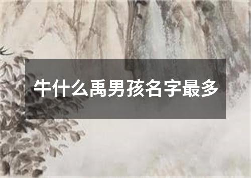 牛什么禹男孩名字最多