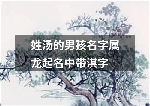 姓汤的男孩名字属龙起名中带淇字