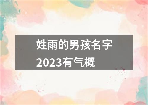 姓雨的男孩名字2023有气概