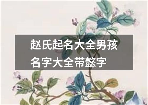 赵氏起名大全男孩名字大全带懿字