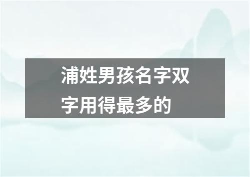 浦姓男孩名字双字用得最多的