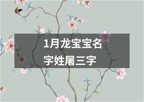 1月龙宝宝名字姓屠三字