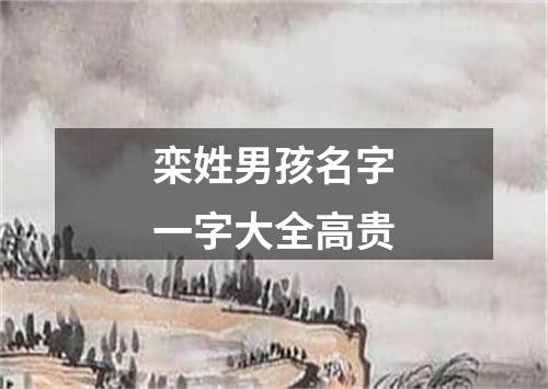 栾姓男孩名字一字大全高贵