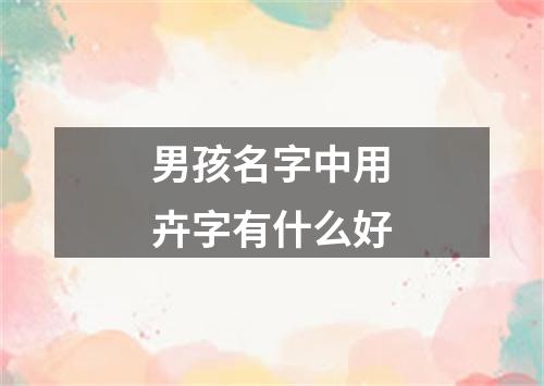 男孩名字中用卉字有什么好