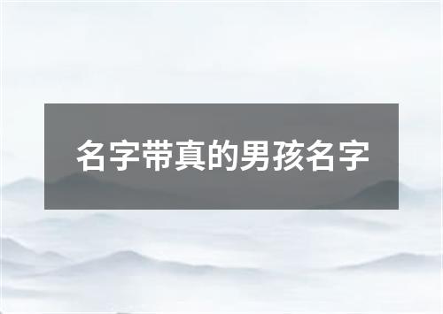 名字带真的男孩名字