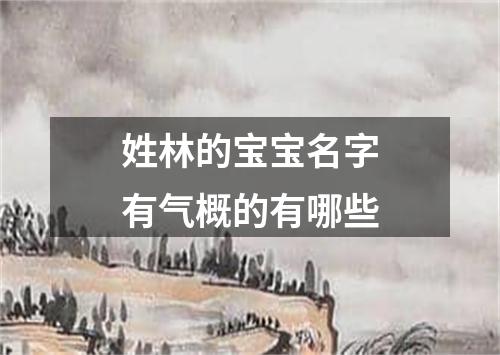 姓林的宝宝名字有气概的有哪些