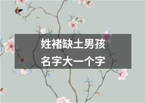 姓褚缺土男孩名字大一个字