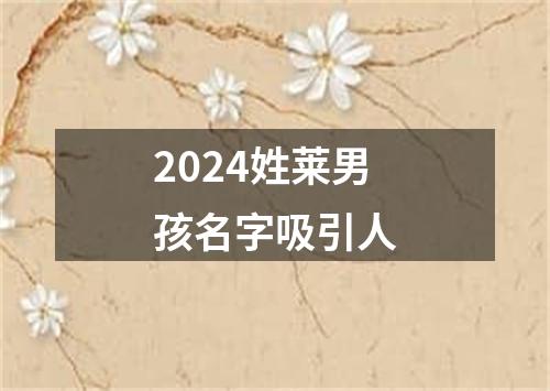 2024姓莱男孩名字吸引人