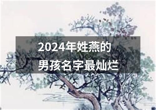 2024年姓燕的男孩名字最灿烂