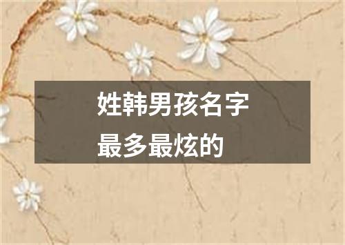 姓韩男孩名字最多最炫的