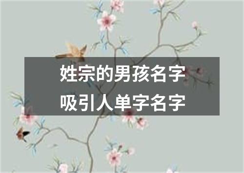 姓宗的男孩名字吸引人单字名字