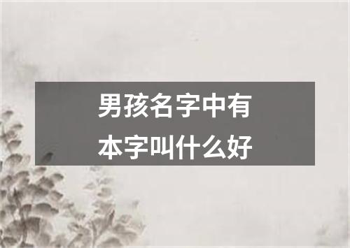 男孩名字中有本字叫什么好