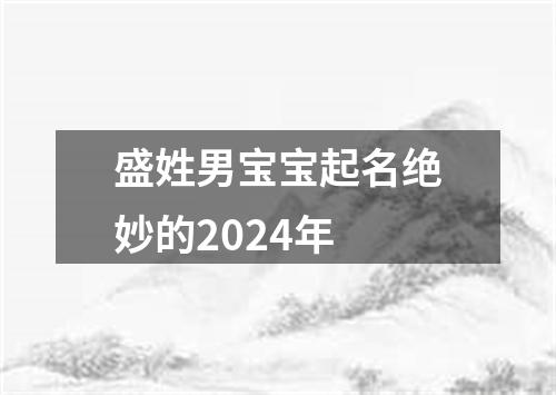 盛姓男宝宝起名绝妙的2024年