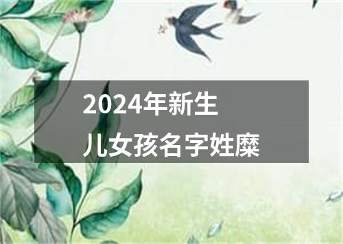 2024年新生儿女孩名字姓糜