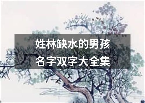 姓林缺水的男孩名字双字大全集