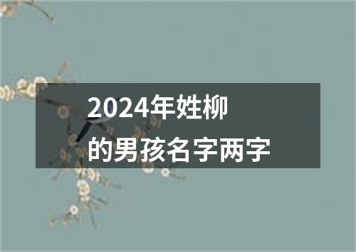 2024年姓柳的男孩名字两字