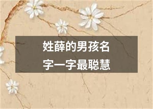 姓薛的男孩名字一字最聪慧