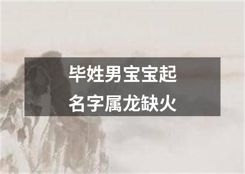 毕姓男宝宝起名字属龙缺火
