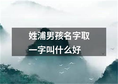 姓浦男孩名字取一字叫什么好
