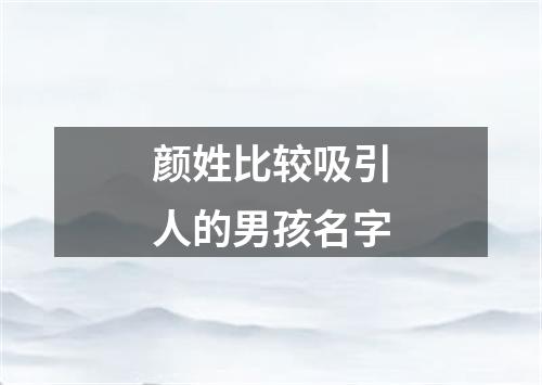 颜姓比较吸引人的男孩名字
