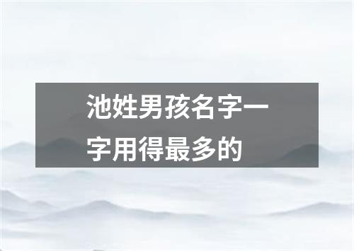 池姓男孩名字一字用得最多的