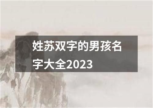 姓苏双字的男孩名字大全2023