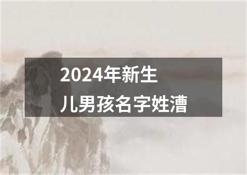 2024年新生儿男孩名字姓漕
