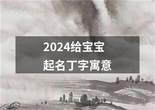 2024给宝宝起名丁字寓意