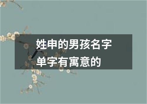 姓申的男孩名字单字有寓意的